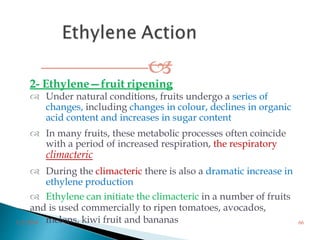 
2- Ethylene—fruit ripening
melons, kiwi fruit and bananas3/2/2014 66
 Under natural conditions, fruits undergo a series of
changes, including changes in colour, declines in organic
acid content and increases in sugar content
 In many fruits, these metabolic processes often coincide
with a period of increased respiration, the respiratory
climacteric
 During the climacteric there is also a dramatic increase in
ethylene production
 Ethylene can initiate the climacteric in a number of fruits
and is used commercially to ripen tomatoes, avocados,
 