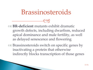 Brassinosteroids

17-74
 BR-deficient mutants exhibit dramatic
growth defects, including dwarfism, reduced
apical dominance and male fertility, as well
as delayed senescence and flowering
 Brassinosteroids switch on specific genes by
inactivating a protein that otherwise
indirectly blocks transcription of those genes
 