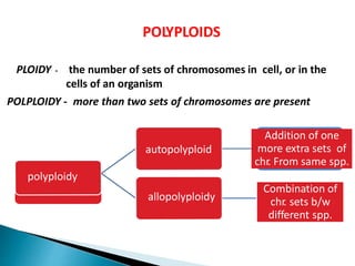 POLYPLOIDS
PLOIDY - the number of sets of chromosomes in cell, or in the
cells of an organism
POLPLOIDY - more than two sets of chromosomes are present
polyploidy
autopolyploid
Addition of one
more extra sets of
chr. From same spp.
allopolyploidy
Combination of
chr. sets b/w
different spp.
 