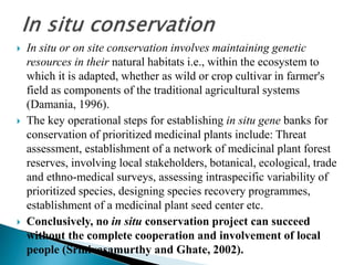  In situ or on site conservation involves maintaining genetic
resources in their natural habitats i.e., within the ecosystem to
which it is adapted, whether as wild or crop cultivar in farmer's
field as components of the traditional agricultural systems
(Damania, 1996).
 The key operational steps for establishing in situ gene banks for
conservation of prioritized medicinal plants include: Threat
assessment, establishment of a network of medicinal plant forest
reserves, involving local stakeholders, botanical, ecological, trade
and ethno-medical surveys, assessing intraspecific variability of
prioritized species, designing species recovery programmes,
establishment of a medicinal plant seed center etc.
 Conclusively, no in situ conservation project can succeed
without the complete cooperation and involvement of local
people (Srinivasamurthy and Ghate, 2002).
 