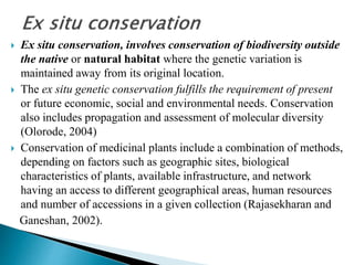  Ex situ conservation, involves conservation of biodiversity outside
the native or natural habitat where the genetic variation is
maintained away from its original location.
 The ex situ genetic conservation fulfills the requirement of present
or future economic, social and environmental needs. Conservation
also includes propagation and assessment of molecular diversity
(Olorode, 2004)
 Conservation of medicinal plants include a combination of methods,
depending on factors such as geographic sites, biological
characteristics of plants, available infrastructure, and network
having an access to different geographical areas, human resources
and number of accessions in a given collection (Rajasekharan and
Ganeshan, 2002).
 