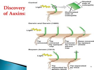 Discovery
of Auxins:
3/2/2014
54
 