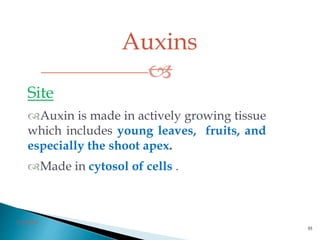 Auxins

3/2/2014
55
Site
Auxin is made in actively growing tissue
which includes young leaves, fruits, and
especially the shoot apex.
Made in cytosol of cells .
 