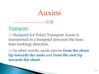 Auxins

3/2/2014
56
Transport :
 Basipetal (or Polar) Transport Auxin is
transported in a basipetal (towards the base,
base-seeking) direction.
 In other words, auxin moves from the shoot
tip towards the roots and from the root tip
towards the shoot.
 