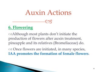 Auxin Actions

3/2/2014
61
6. Flowering
Although most plants don’t initiate the
production of flowers after auxin treatment,
pineapple and its relatives (Bromeliaceae) do.
 Once flowers are initiated, in many species,
IAA promotes the formation of female flowers.
 