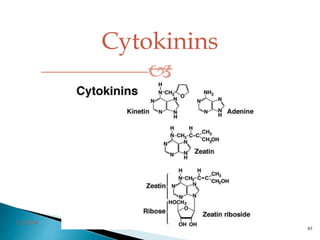 Cytokinins

3/2/2014
83
 