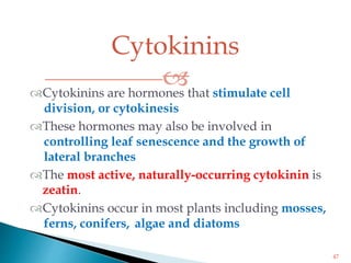Cytokinins

47
Cytokinins are hormones that stimulate cell
division, or cytokinesis
These hormones may also be involved in
controlling leaf senescence and the growth of
lateral branches
The most active, naturally-occurring cytokinin is
zeatin.
Cytokinins occur in most plants including mosses,
ferns, conifers, algae and diatoms
 
