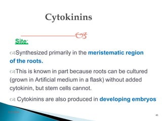 
3/2/2014
85
Site:
Synthesized primarily in the meristematic region
of the roots.
This is known in part because roots can be cultured
(grown in Artificial medium in a flask) without added
cytokinin, but stem cells cannot.
 Cytokinins are also produced in developing embryos
.
 