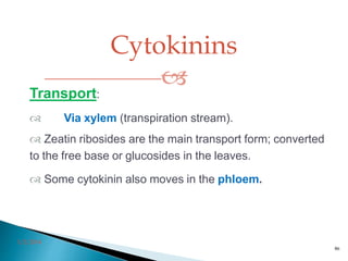 Cytokinins

3/2/2014
86
Transport:
 Via xylem (transpiration stream).
 Zeatin ribosides are the main transport form; converted
to the free base or glucosides in the leaves.
 Some cytokinin also moves in the phloem.
 