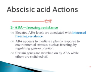 
2- ABA—freezing resistance
 Elevated ABA levels are associated with increased
freezing resistance.
 ABA appears to mediate a plant’s response to
environmental stresses, such as freezing, by
regulating gene expression.
 Certain genes are switched on by ABA while
others are switched off.
3/2/2014 60
 