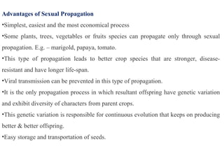 Advantages of Sexual Propagation
•Simplest, easiest and the most economical process
•Some plants, trees, vegetables or fruits species can propagate only through sexual
propagation. E.g. – marigold, papaya, tomato.
•This type of propagation leads to better crop species that are stronger, disease-
resistant and have longer life-span.
•Viral transmission can be prevented in this type of propagation.
•It is the only propagation process in which resultant offspring have genetic variation
and exhibit diversity of characters from parent crops.
•This genetic variation is responsible for continuous evolution that keeps on producing
better & better offspring.
•Easy storage and transportation of seeds.
 
