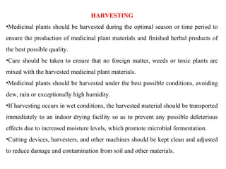 HARVESTING
•Medicinal plants should be harvested during the optimal season or time period to
ensure the production of medicinal plant materials and finished herbal products of
the best possible quality.
•Care should be taken to ensure that no foreign matter, weeds or toxic plants are
mixed with the harvested medicinal plant materials.
•Medicinal plants should be harvested under the best possible conditions, avoiding
dew, rain or exceptionally high humidity.
•If harvesting occurs in wet conditions, the harvested material should be transported
immediately to an indoor drying facility so as to prevent any possible deleterious
effects due to increased moisture levels, which promote microbial fermentation.
•Cutting devices, harvesters, and other machines should be kept clean and adjusted
to reduce damage and contamination from soil and other materials.
 