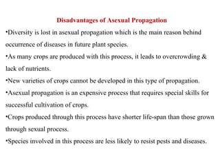 Disadvantages of Asexual Propagation
•Diversity is lost in asexual propagation which is the main reason behind
occurrence of diseases in future plant species.
•As many crops are produced with this process, it leads to overcrowding &
lack of nutrients.
•New varieties of crops cannot be developed in this type of propagation.
•Asexual propagation is an expensive process that requires special skills for
successful cultivation of crops.
•Crops produced through this process have shorter life-span than those grown
through sexual process.
•Species involved in this process are less likely to resist pests and diseases.
 