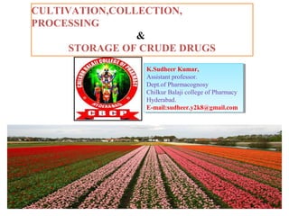 CULTIVATION,COLLECTION,
PROCESSING
&
STORAGE OF CRUDE DRUGS
K.Sudheer Kumar,
Assistant professor.
Dept.of Pharmacognosy
Chilkur Balaji college of Pharmacy
Hyderabad.
E-mail:sudheer.y2k8@gmail.com
K.Sudheer Kumar,
Assistant professor.
Dept.of Pharmacognosy
Chilkur Balaji college of Pharmacy
Hyderabad.
E-mail:sudheer.y2k8@gmail.com
 