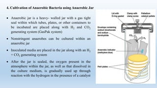 Cultivation of Anaerobic Bacteria ppt.pdf