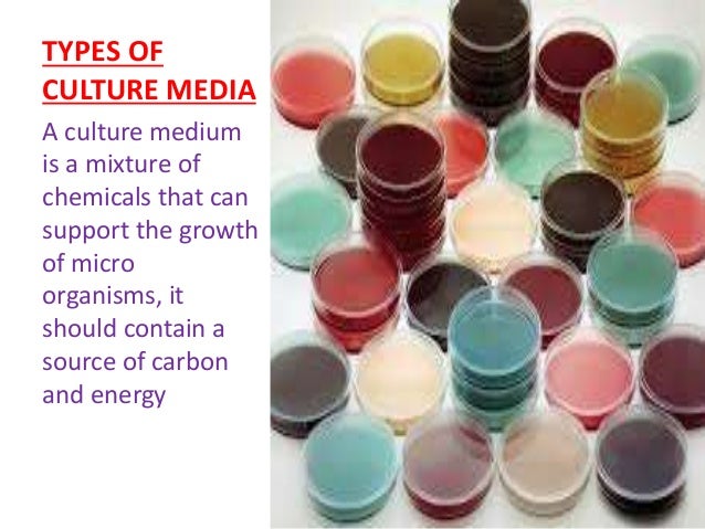 Cultivation of bacteria ppt- NIMISHA