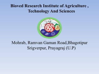 Bioved Research Institute of Agriculture ,
Technology And Sciences
Mohrab, Ramvan Gaman Road,Bhagotipur
Srigverpur, Prayagraj (U.P)
 