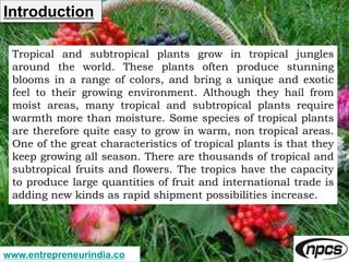 www.entrepreneurindia.co
Introduction
Tropical and subtropical plants grow in tropical jungles
around the world. These pla...