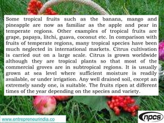 www.entrepreneurindia.co
Some tropical fruits such as the banana, mango and
pineapple are now as familiar as the apple and...
