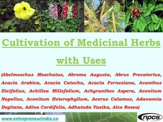 www.entrepreneurindia.co
Cultivation of Medicinal Herbs
with Uses
(Abelmoschus Moschatus, Abroma Augusta, Abrus Precatoriu...