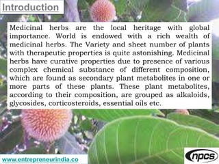 www.entrepreneurindia.co
Introduction
Medicinal herbs are the local heritage with global
importance. World is endowed with...