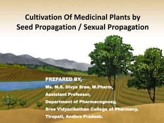 Cultivation Of Medicinal Plants by
Seed Propagation / Sexual Propagation
PREPARED BY,
Ms. M.S. Divya Sree, M.Pharm,
Assistant Professor,
Department of Pharmacognosy,
Sree Vidyanikethan College of Pharmacy,
Tirupati, Andhra Pradesh.
 