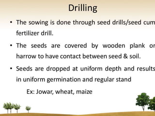 Cultivation of medicinal plants A Lecture to Farmers By Mr Allah Dad ...