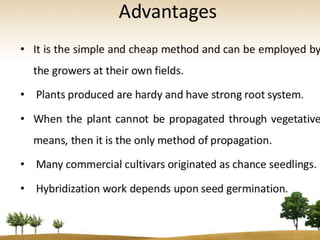 Cultivation of medicinal plants A Lecture to Farmers By Mr Allah Dad ...