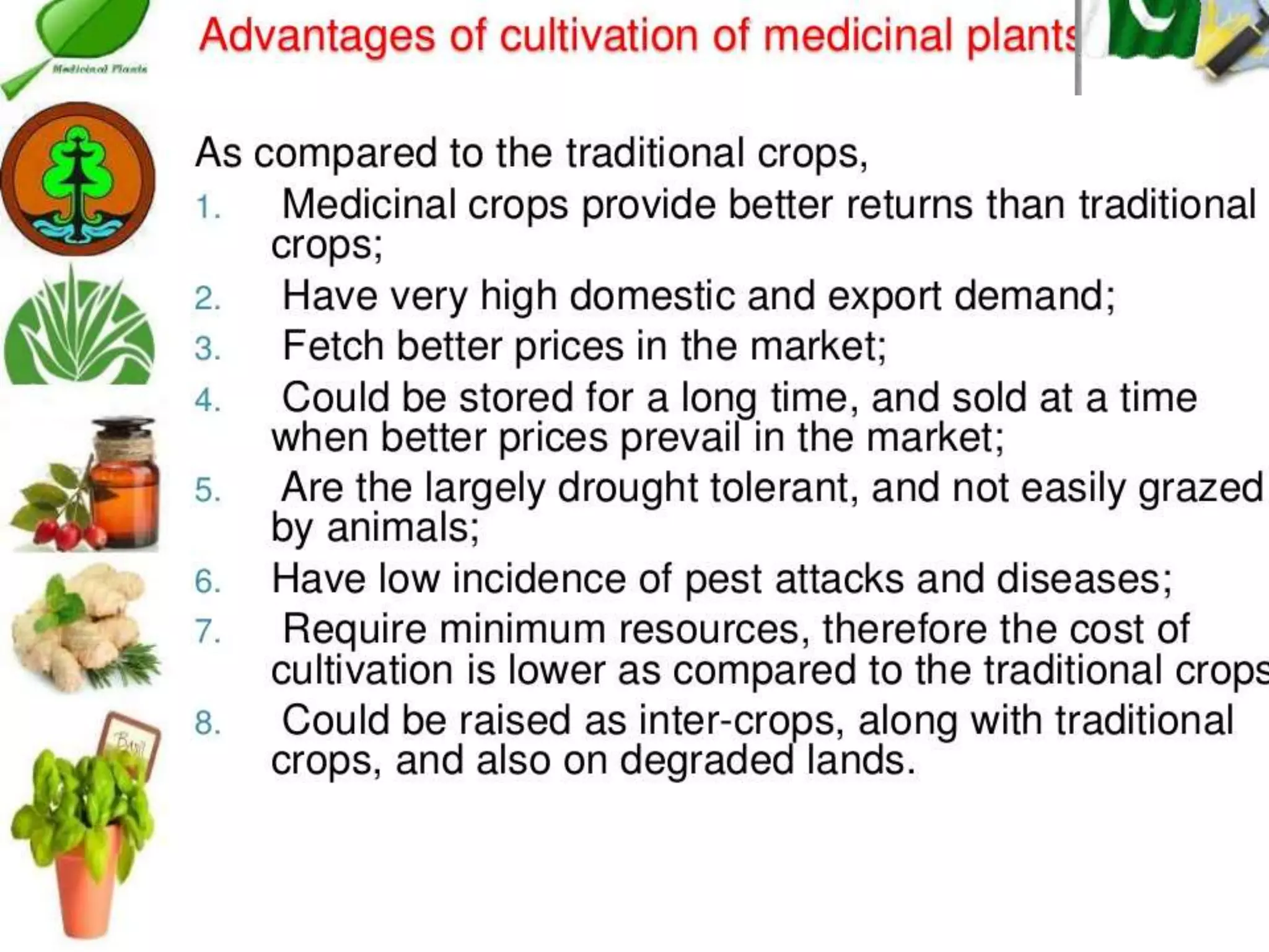 Cultivation of medicinal plants in pakistan In Pakistan By Mr Allah Dad ...