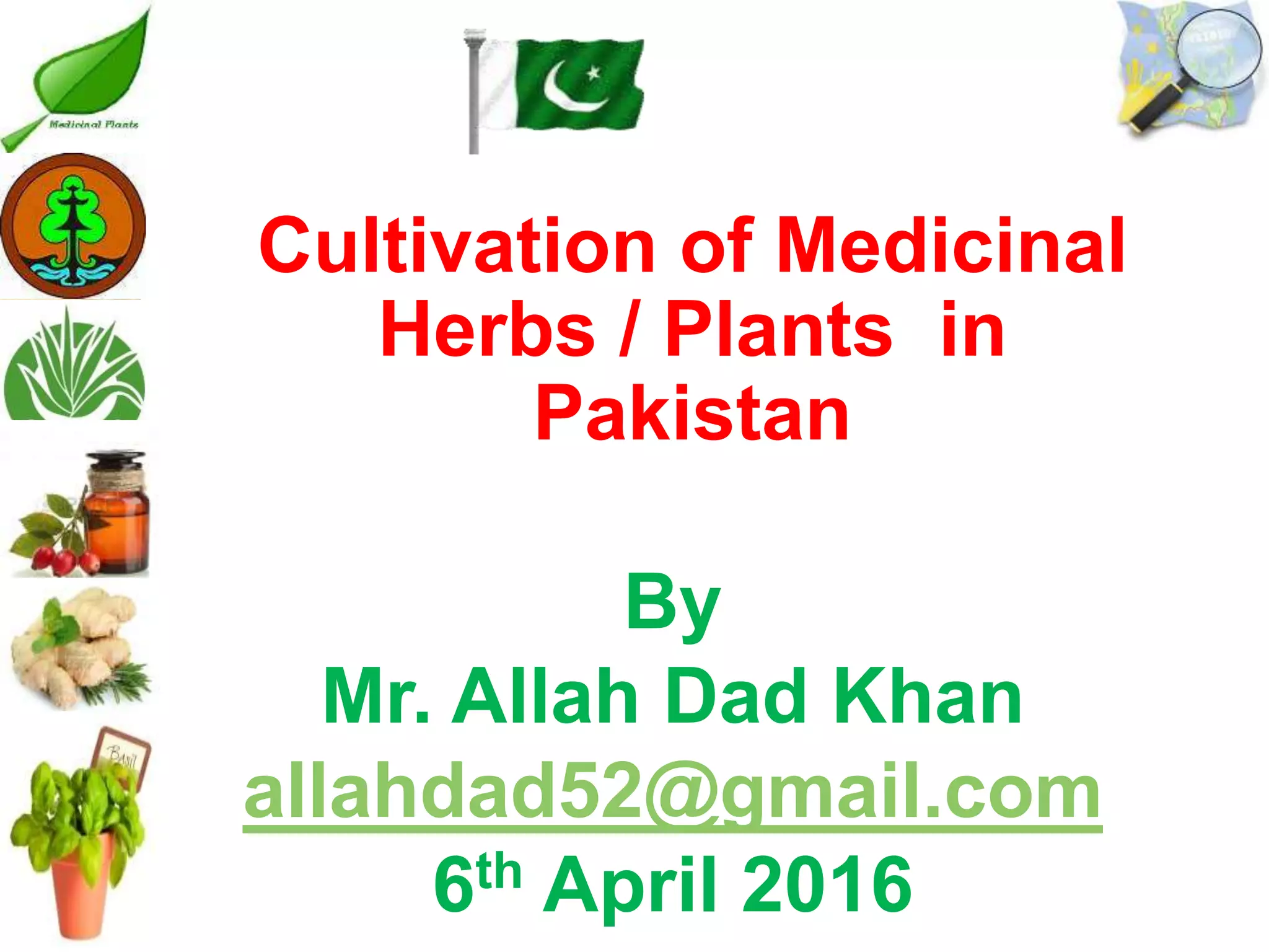 Cultivation of medicinal plants in pakistan In Pakistan By Mr Allah Dad ...