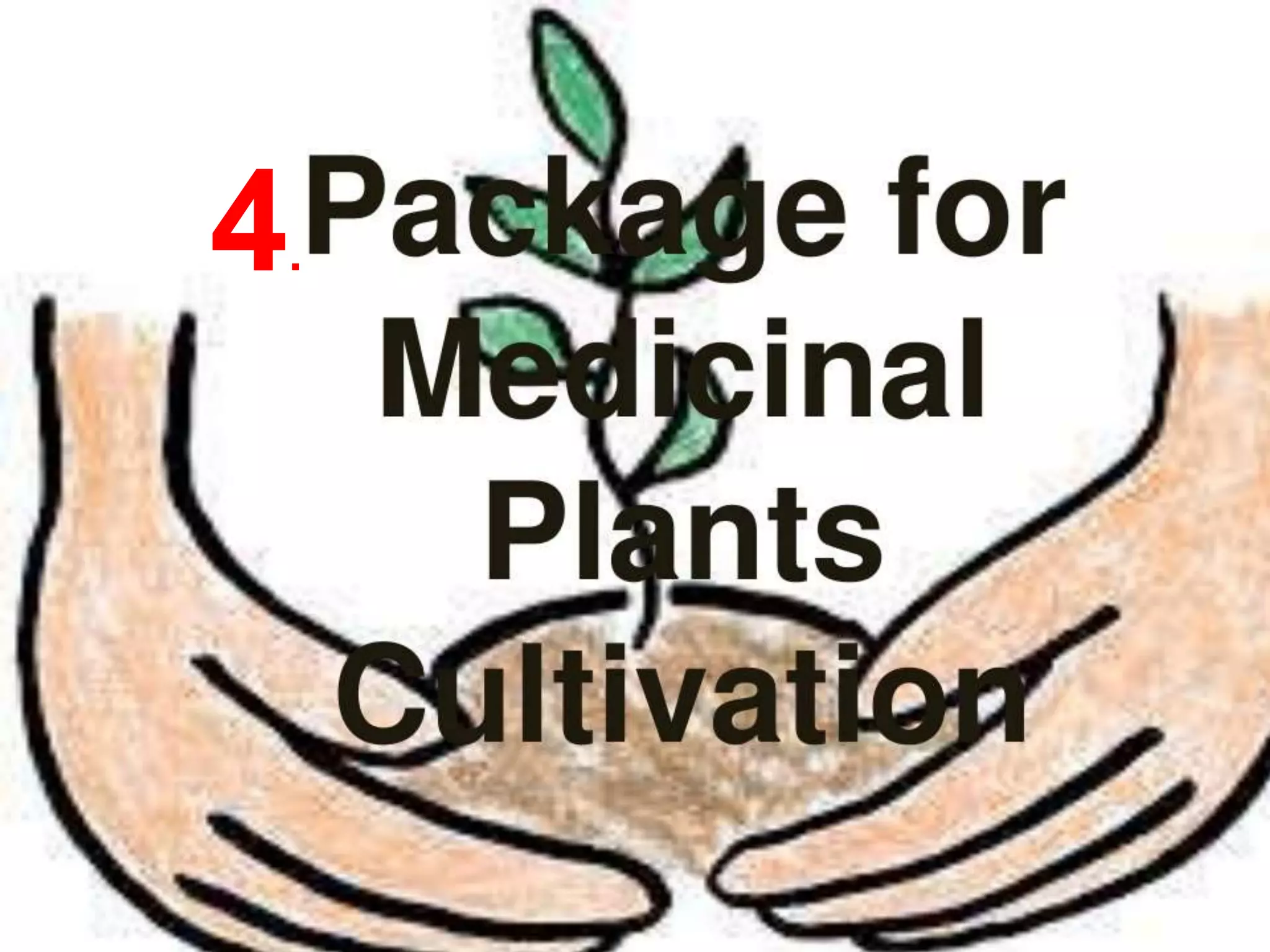 Cultivation of medicinal plants in pakistan In Pakistan By Mr Allah Dad ...