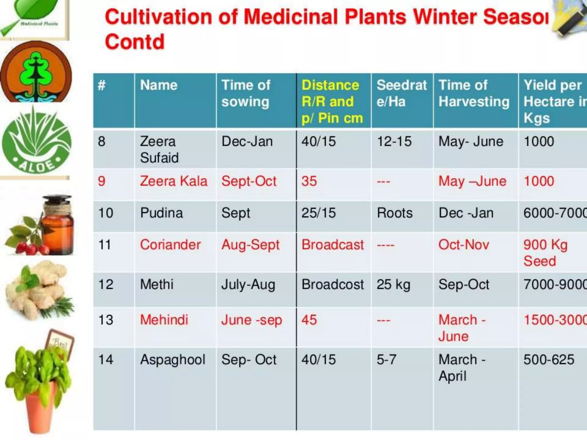 Cultivation of medicinal plants in pakistan In Pakistan By Mr Allah Dad ...