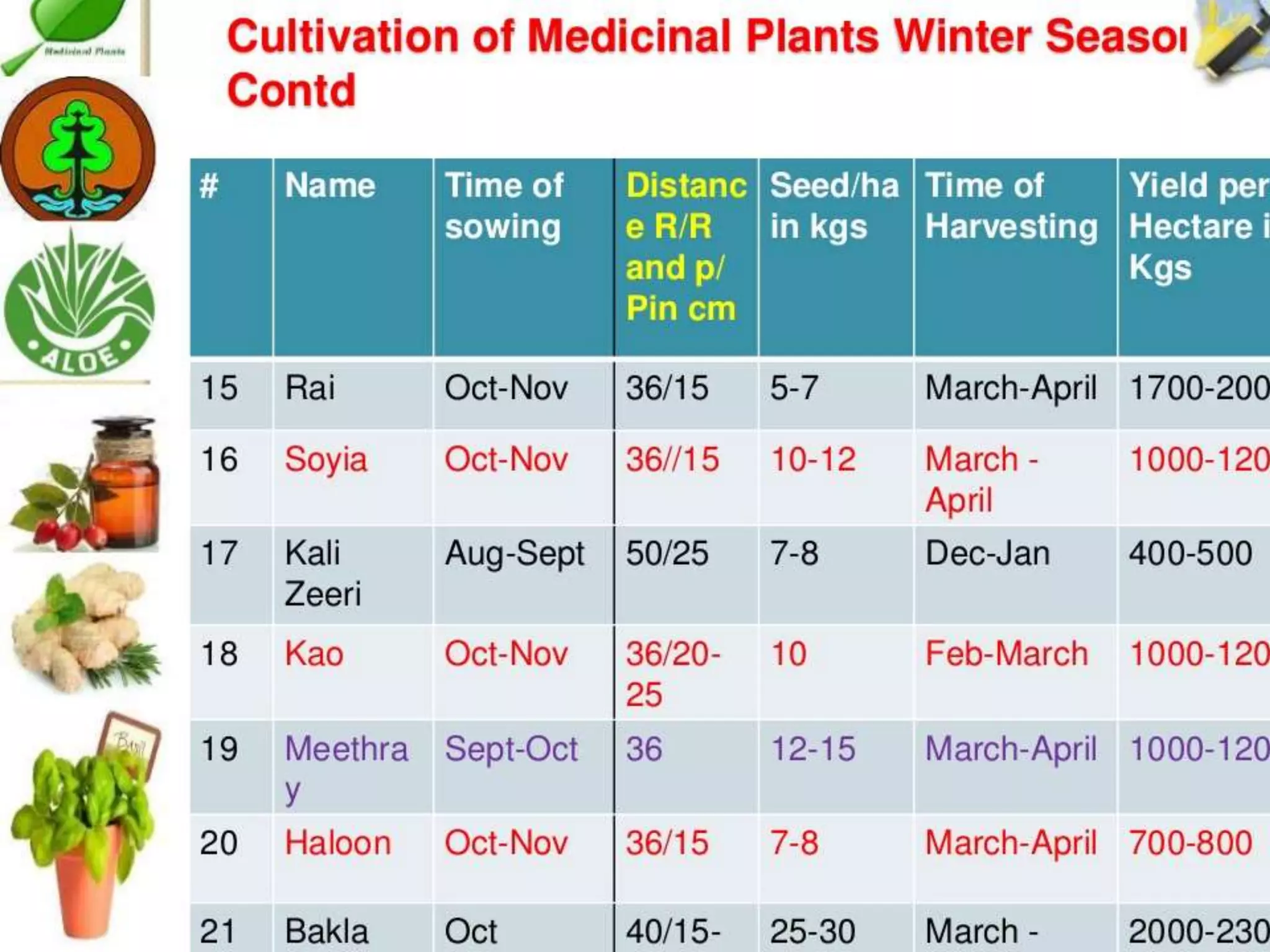 Cultivation of medicinal plants in pakistan In Pakistan By Mr Allah Dad ...