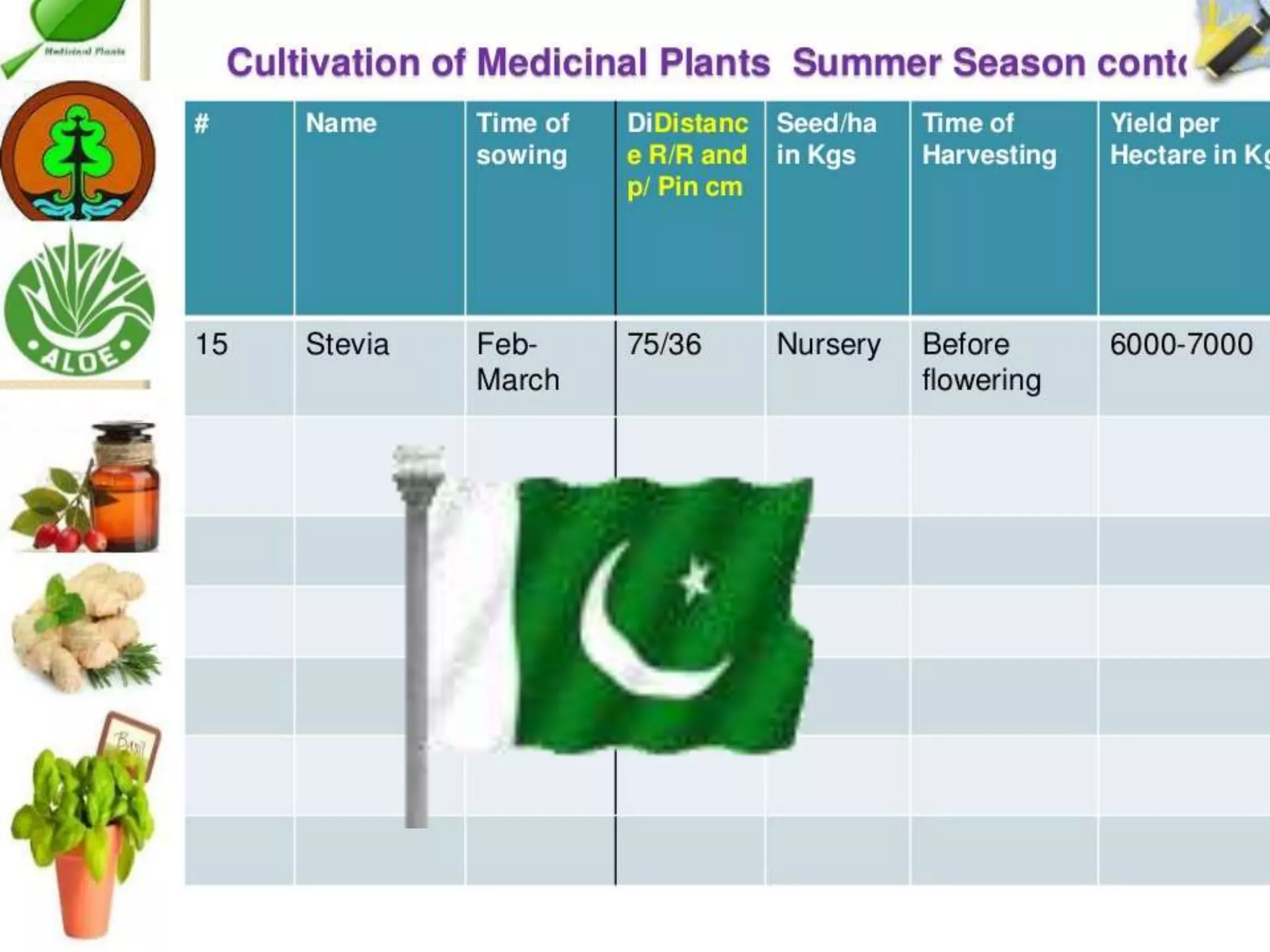 Cultivation of medicinal plants in pakistan In Pakistan By Mr Allah Dad ...