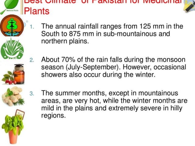 Cultivation of medicinal plants in pakistan In Pakistan By Mr Allah Dad ...