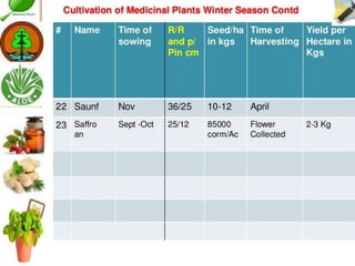 Cultivation of medicinal plants in pakistan In Pakistan By Mr Allah Dad ...