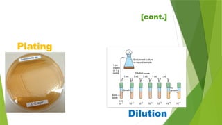 Plating
Dilution
[cont.]
 