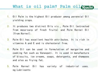 Cultivation of oil palm | PPT
