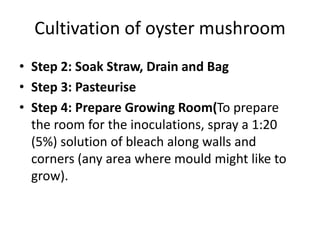 Cultivation of oyster mushroom | PPTX