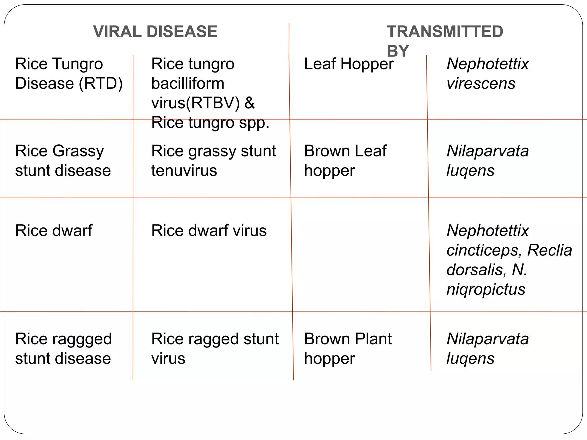 Cultivation of rice (paddy) | PPTX