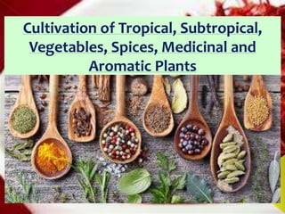 Cultivation of Tropical, Subtropical,
Vegetables, Spices, Medicinal and
Aromatic Plants
 