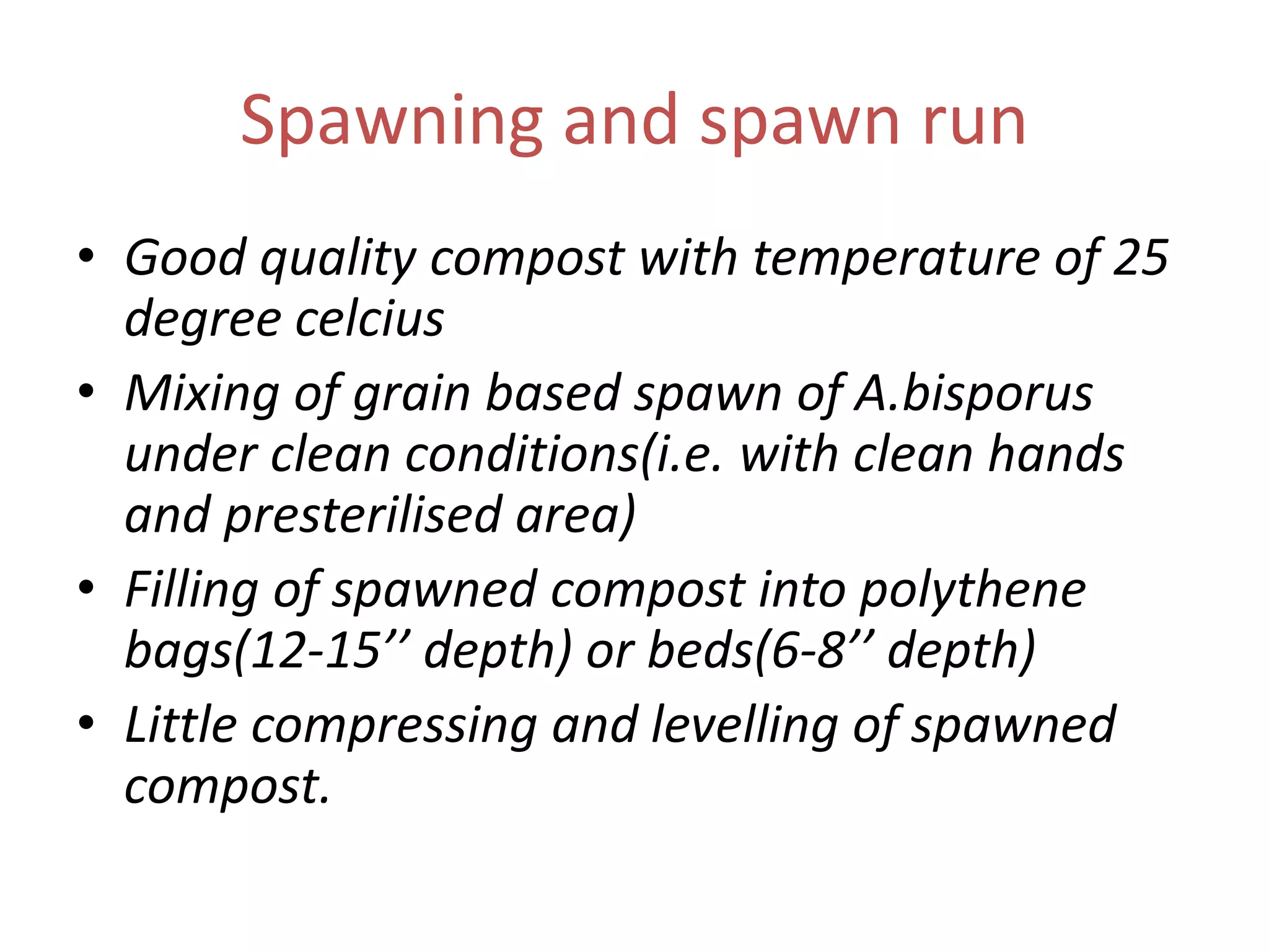 Spawning and spawn run
• Good quality compost with temperature of 25
degree celcius
• Mixing of grain based spawn of A.bisporus
under clean conditions(i.e. with clean hands
and presterilised area)
• Filling of spawned compost into polythene
bags(12-15’’ depth) or beds(6-8’’ depth)
• Little compressing and levelling of spawned
compost.
 