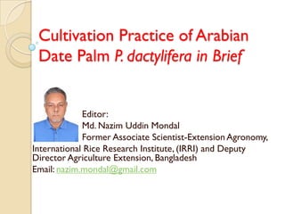 Cultivation Practice of Arabian
Date Palm P. dactylifera in Brief
Editor:
Md. Nazim Uddin Mondal
Former Associate Scientist-Extension Agronomy,
International Rice Research Institute, (IRRI) and Deputy
Director Agriculture Extension, Bangladesh
Email: nazim.mondal@gmail.com
 