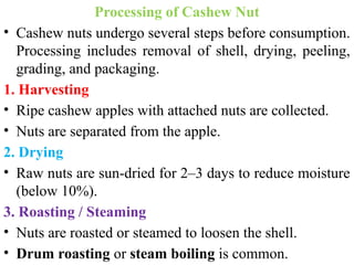 Steam Ripe Cultivation Practice of Cashewnut in nepal.pptx