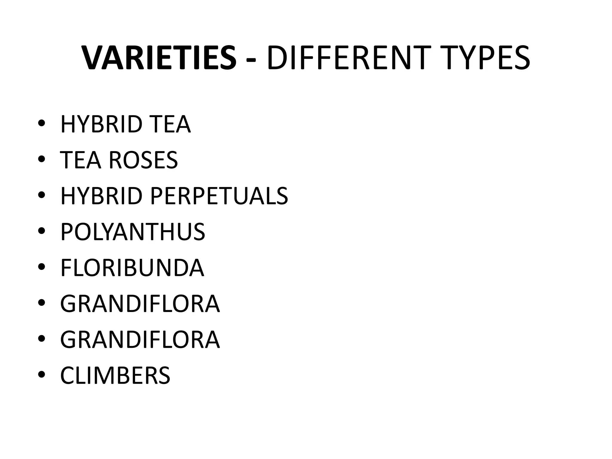 VARIETIES - DIFFERENT TYPES
• HYBRID TEA
• TEA ROSES
• HYBRID PERPETUALS
• POLYANTHUS
• FLORIBUNDA
• GRANDIFLORA
• GRANDIFLORA
• CLIMBERS
 