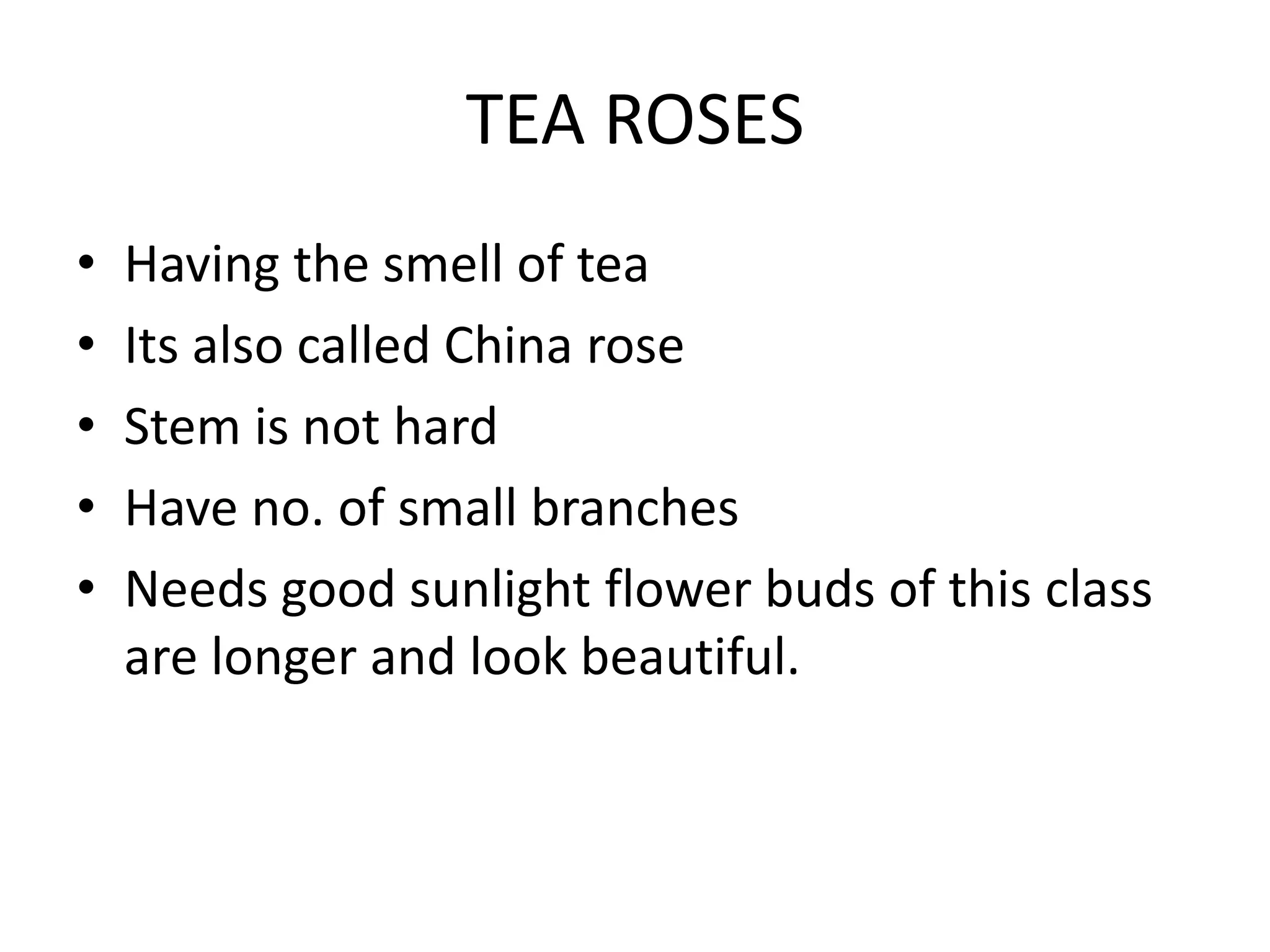 TEA ROSES
• Having the smell of tea
• Its also called China rose
• Stem is not hard
• Have no. of small branches
• Needs good sunlight flower buds of this class
are longer and look beautiful.
 