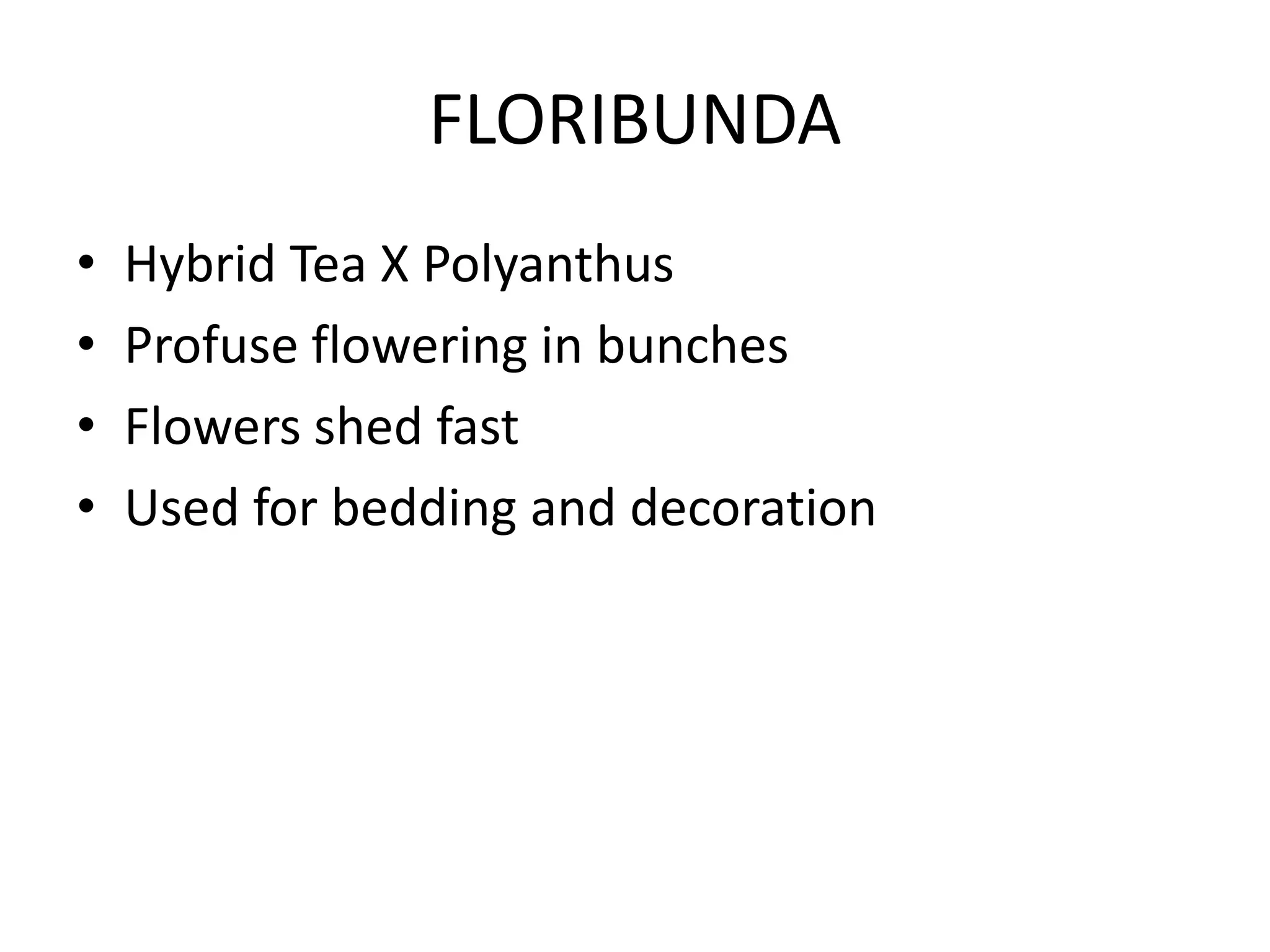 FLORIBUNDA
• Hybrid Tea X Polyanthus
• Profuse flowering in bunches
• Flowers shed fast
• Used for bedding and decoration
 
