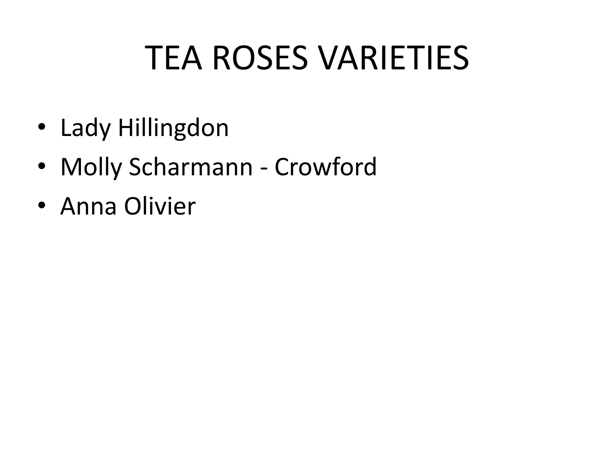 TEA ROSES VARIETIES
• Lady Hillingdon
• Molly Scharmann - Crowford
• Anna Olivier
 