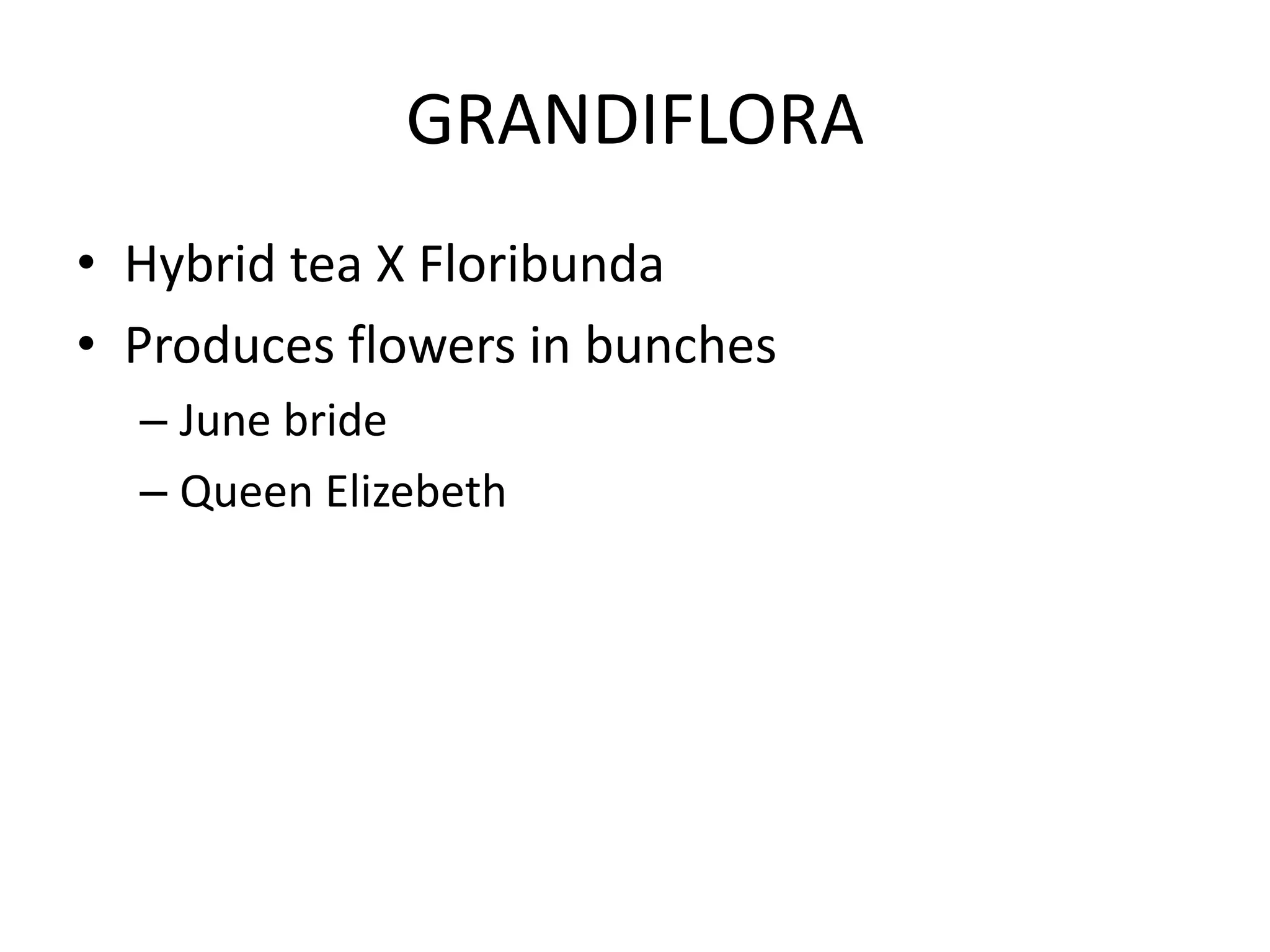 GRANDIFLORA
• Hybrid tea X Floribunda
• Produces flowers in bunches
– June bride
– Queen Elizebeth
 
