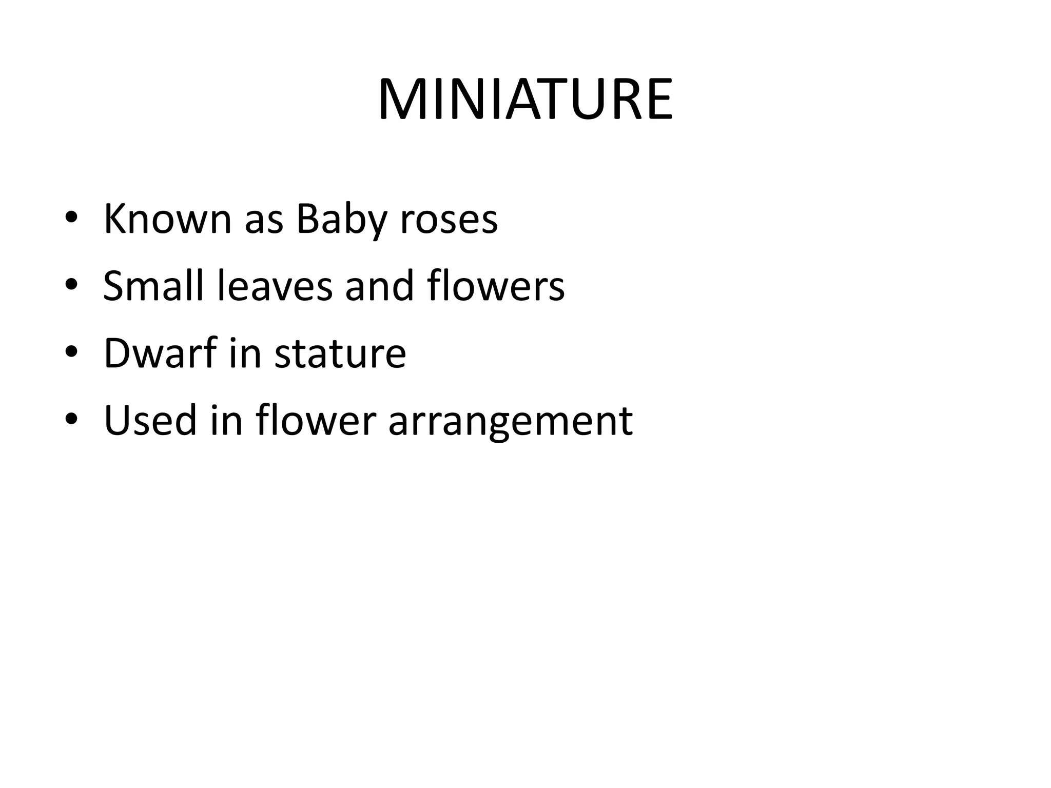 MINIATURE
• Known as Baby roses
• Small leaves and flowers
• Dwarf in stature
• Used in flower arrangement
 